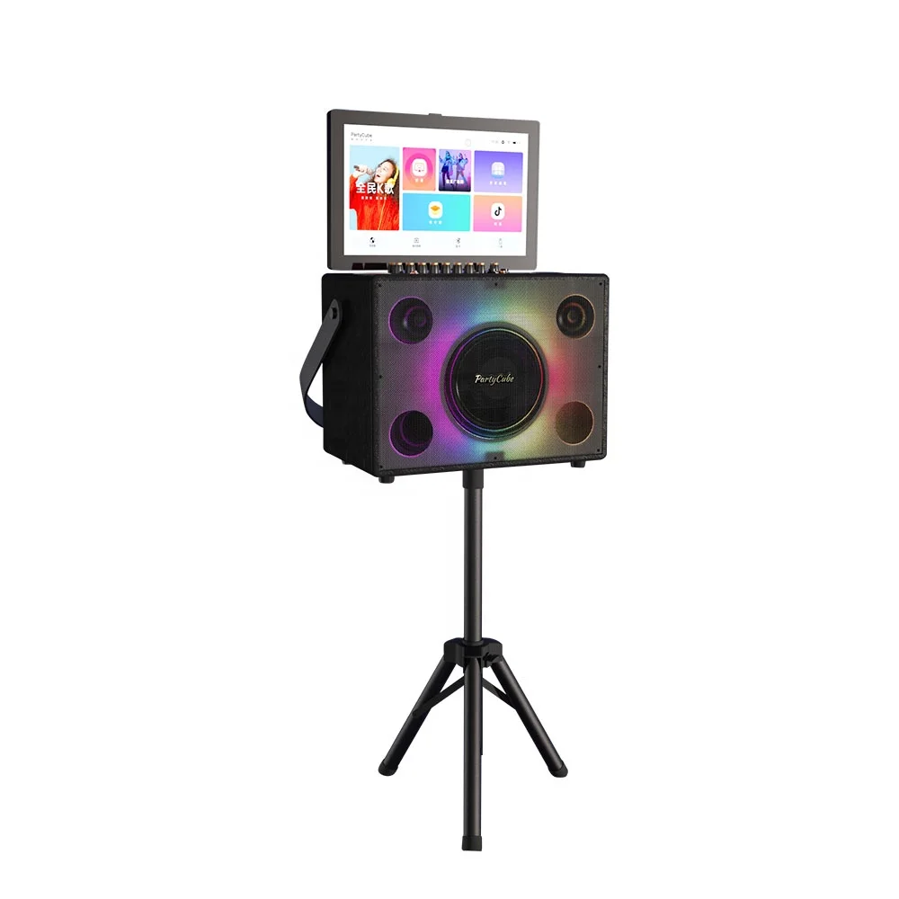 Entertainment Portable Karaoke - огляд і ціна Karaoke Machine Portable With 2 Mic