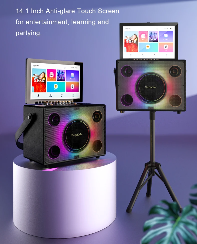 Entertainment Portable Karaoke - огляд і ціна Karaoke Machine Portable With 2 Mic