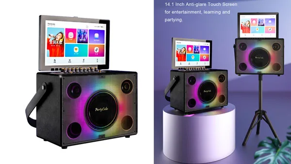 Entertainment Portable Karaoke - огляд і ціна Karaoke Machine Portable With 2 Mic
