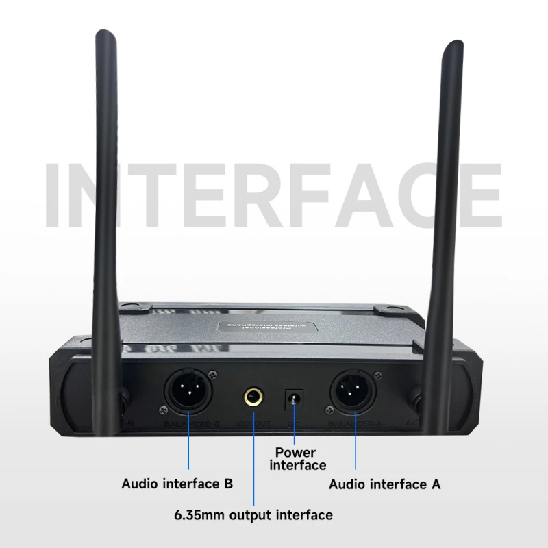 Professional 2 Channel UHF Wir - огляд і ціна Uhf Wireless Microphone System Dual Channel