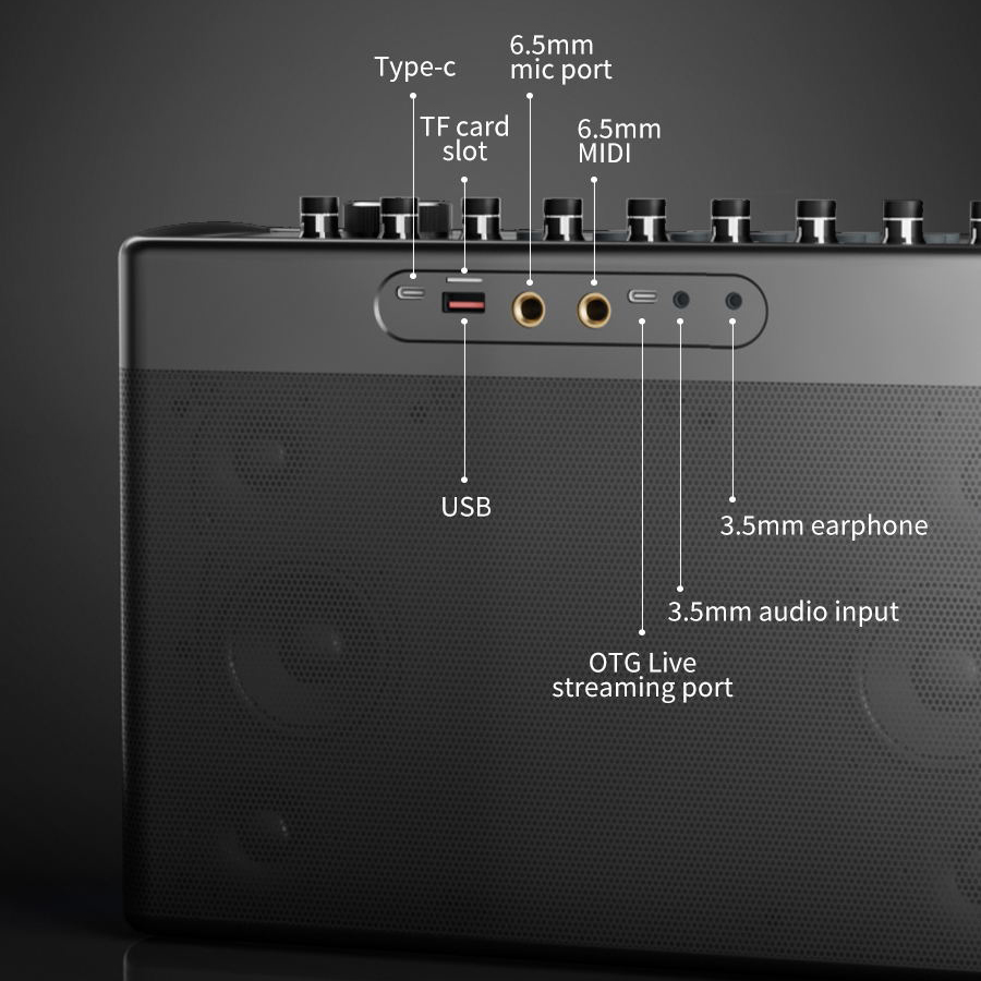 S1127 PLUS 300W Karaoke Machin - огляд і ціна Karaoke Machine Portable With 2 Mic