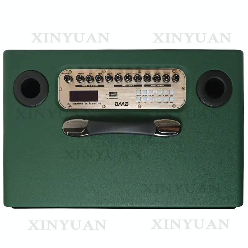 Karaoke Speaker, 8-Inch Wooden - огляд і ціна Karaoke Speaker System 100W Rgb