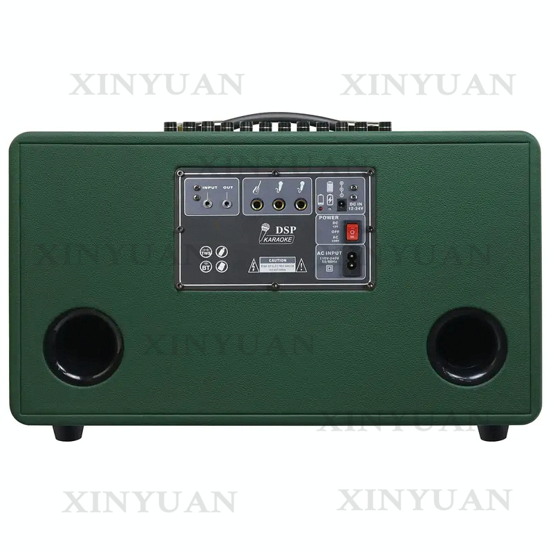 Karaoke Speaker, 8-Inch Wooden - огляд і ціна Karaoke Speaker System 100W Rgb