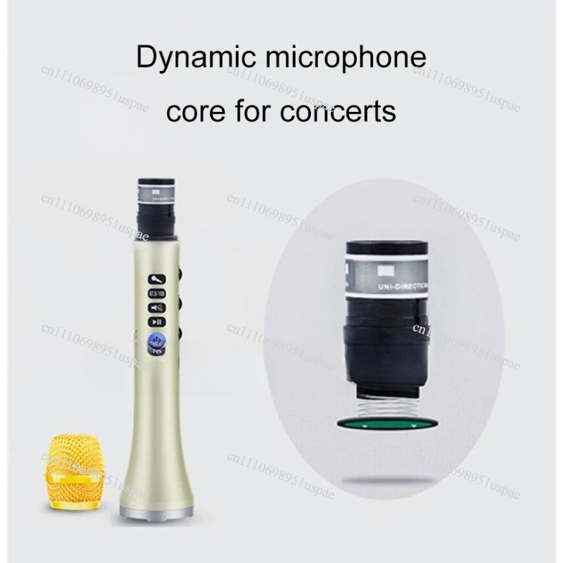 L-698DSP 20W Wireless Micropho - огляд і ціна Bluetooth Karaoke Microphone Handheld