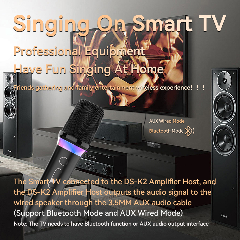 Karaoke Companion Wireless Mic - огляд і ціна Karaoke Amplifier Mixer Bluetooth