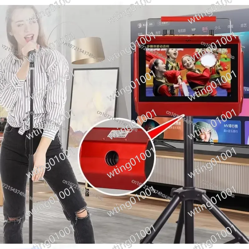 for Karaoke Machine with Lyric - огляд і ціна Karaoke Machine Portable With 2 Mic