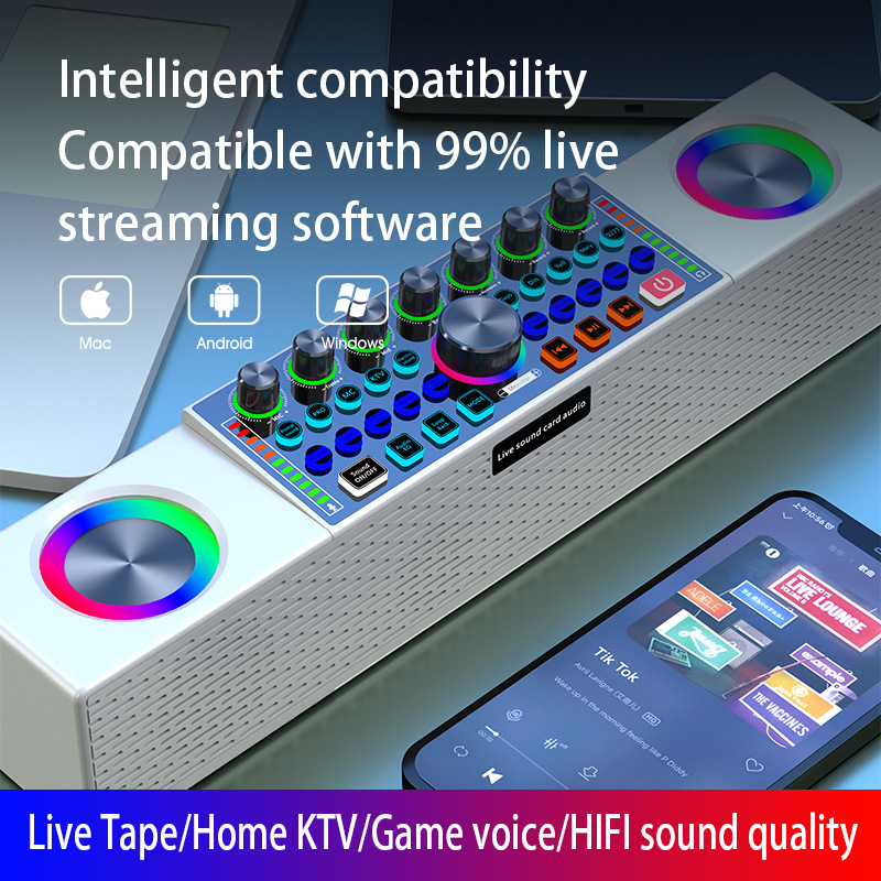SY8 Live Broadcast Sound Card  - огляд і ціна Karaoke Machine Portable With 2 Mic