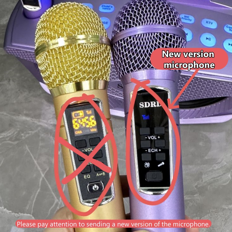 SD306Plus Professional Karaoke - огляд і ціна Karaoke Machine Portable With 2 Mic