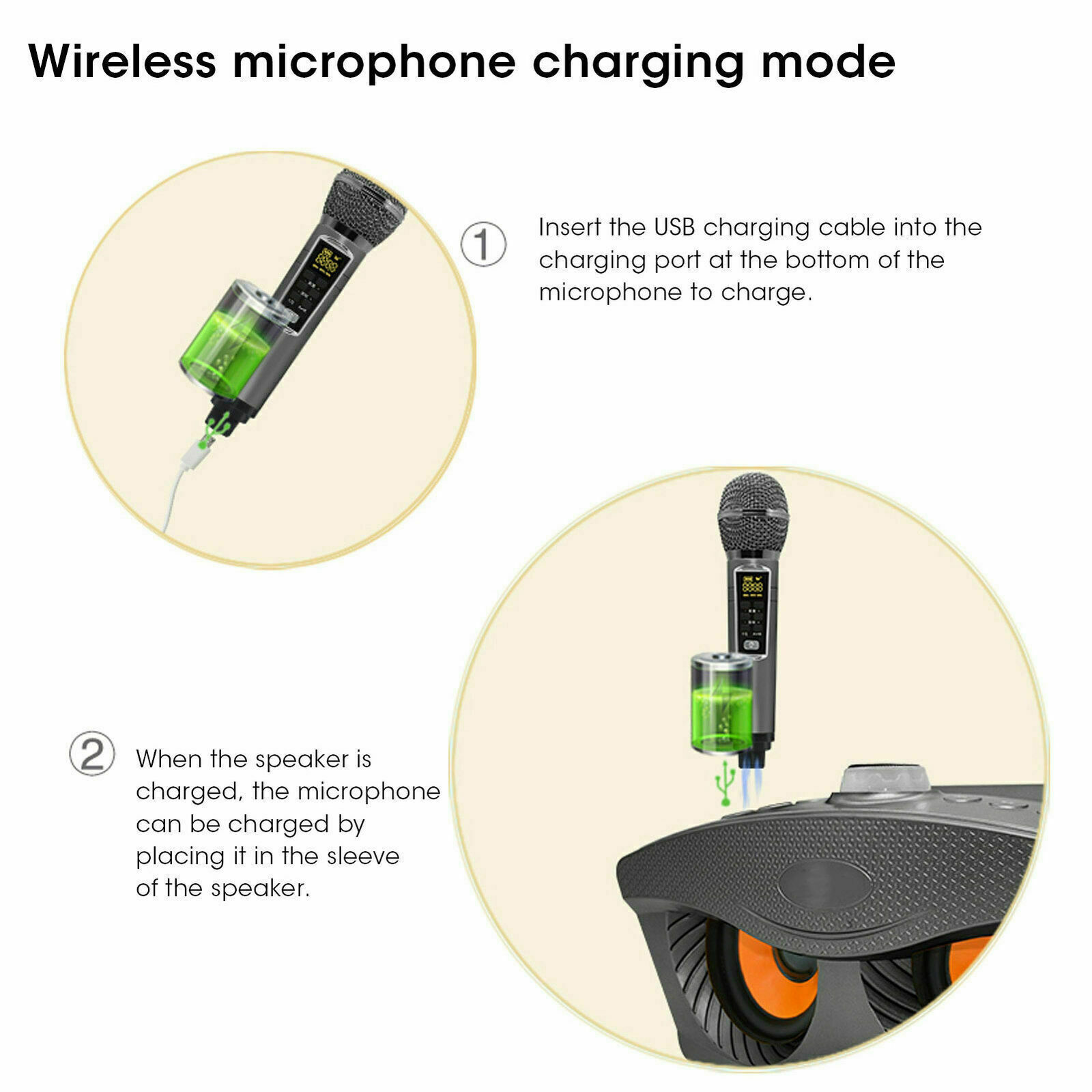 SD306Plus Professional Karaoke - огляд і ціна Karaoke Machine Portable With 2 Mic