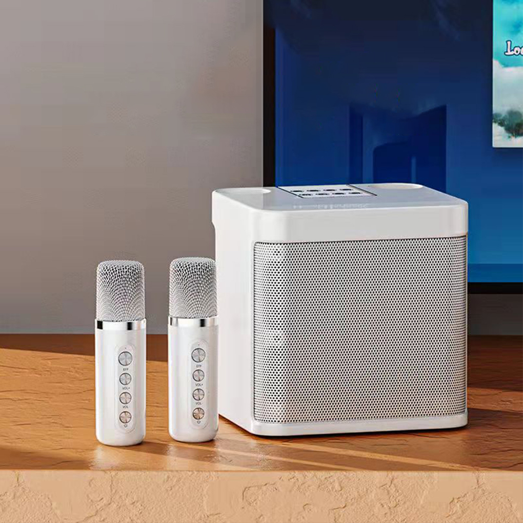 Portable Dual Microphone Karao - огляд і ціна Karaoke Machine Portable With 2 Mic