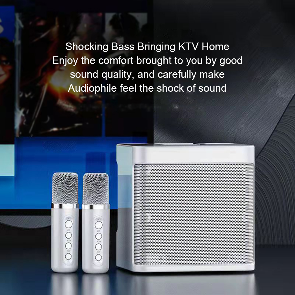 Portable Dual Microphone Karao - огляд і ціна Karaoke Machine Portable With 2 Mic