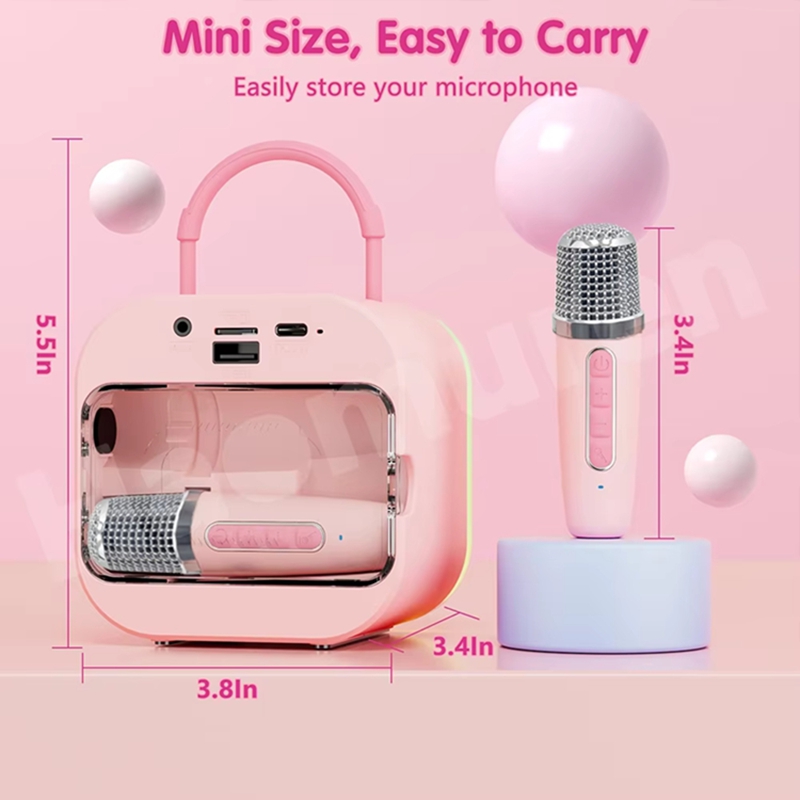 LZQLY Mini Karaoke Machine for - огляд і ціна Karaoke Machine Portable With 2 Mic
