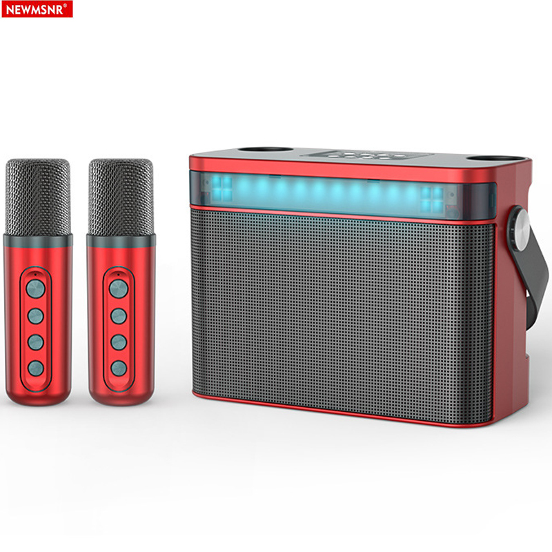 Powerful Bluetooth Speaker Wit - огляд і ціна Karaoke Machine Portable With 2 Mic