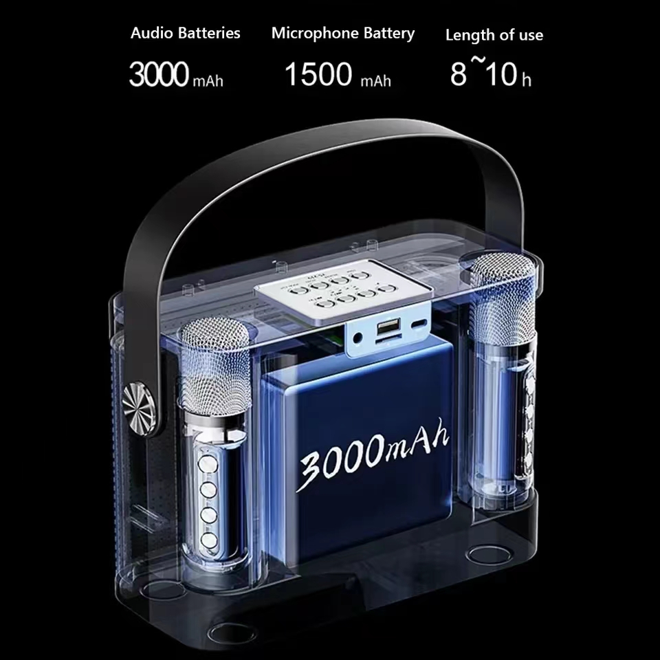 Powerful Bluetooth Speaker Wit - огляд і ціна Karaoke Machine Portable With 2 Mic