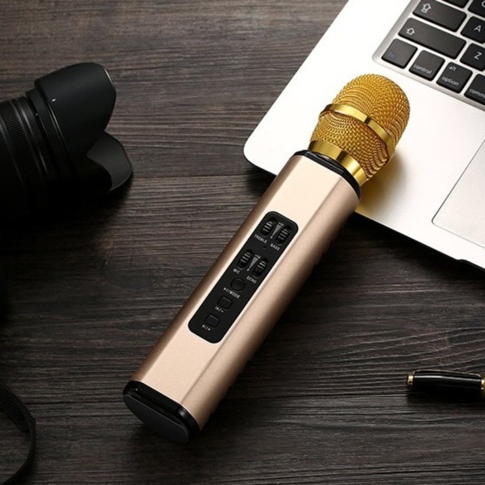 Portable Karaoke Microphone Du - огляд і ціна Bluetooth Karaoke Microphone Handheld